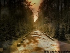 sobibor  